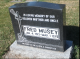 Fred Musey Headstone